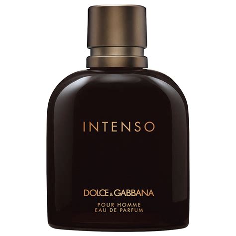 dolce gabbana intense for men|Dolce & Gabbana intenso price.